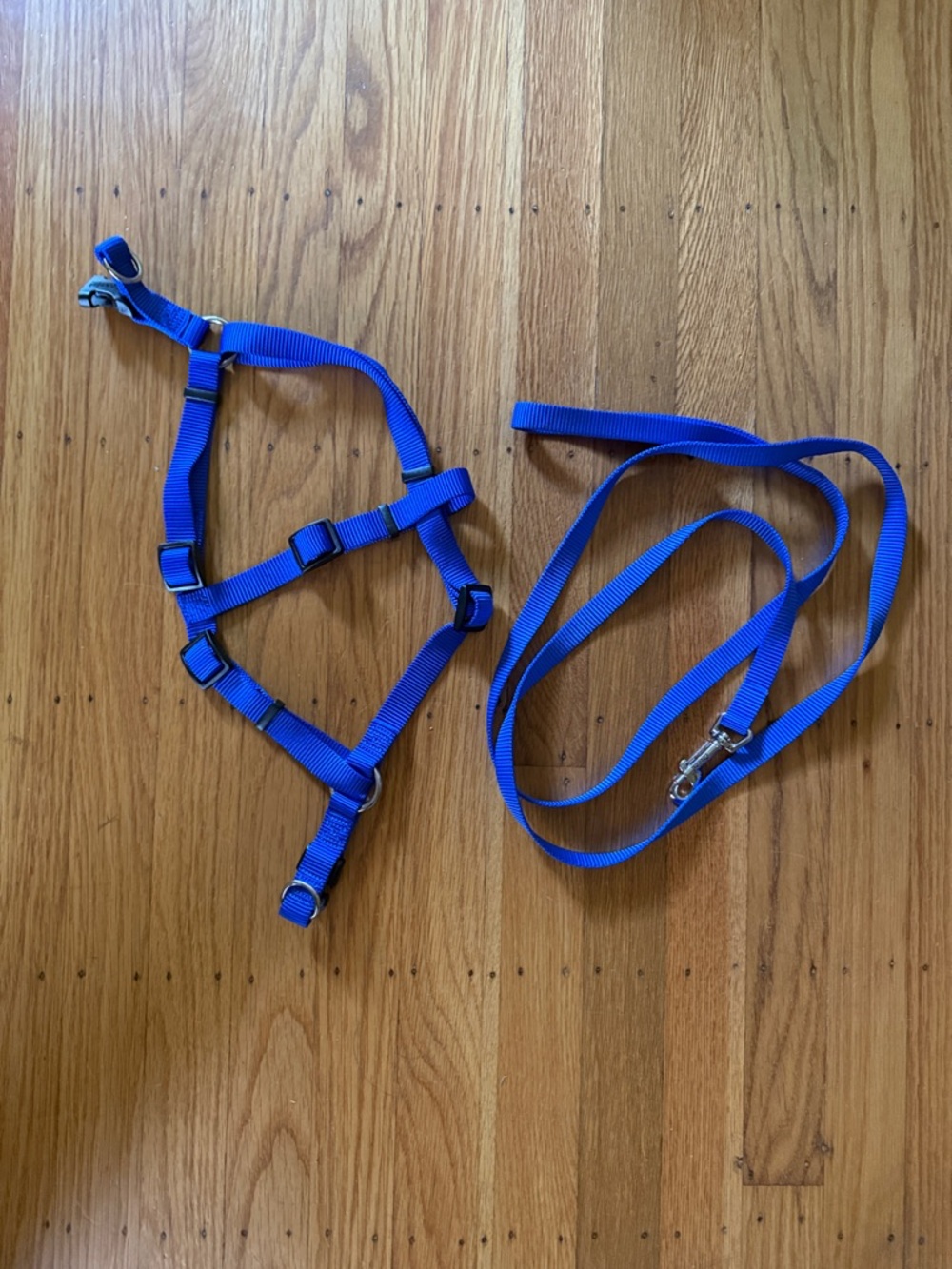 Coastal Adjustable Blue Dog Harness and Leash Set M